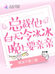 总裁他白天冷冰冰小说下载