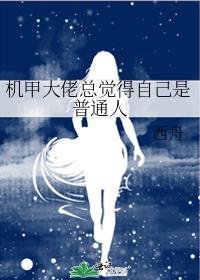 机甲大师小说
