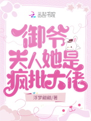 御爷你家夫人又掉马甲了txt免费阅读