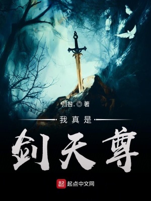 我真是剑天尊TXT