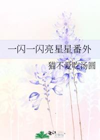 一闪一闪亮星星番外5