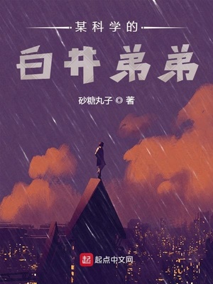 某科学的白井弟弟番外