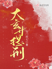 大玄女提刑 小说