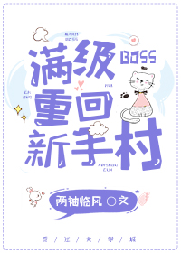 满级boss重回新手村小说