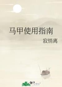 马甲使用指南图片