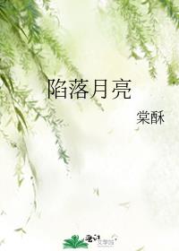 陷落月亮by七颗荔枝