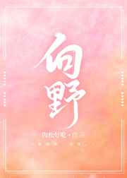 向野