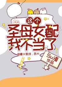 这个圣母女配我不当了作者:汇安