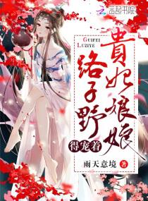 贵妃路子野得宠着电视剧