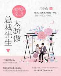 总裁先生请息怒
