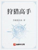 狩猎高手的火枪属性