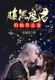 腹黑魔君的仙界怂妻
